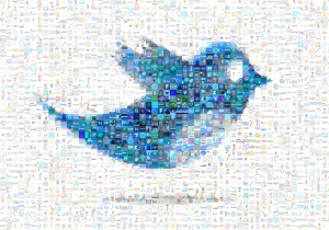 Top Twitter Accounts