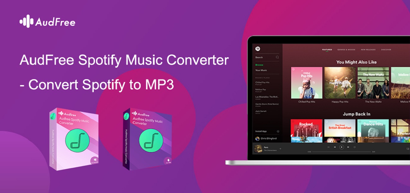 mp3 player that works with spotify